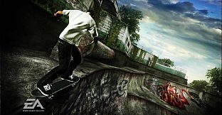skate. (2007)