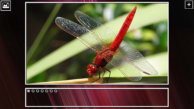 Super Jigsaw Puzzle: Generations - Bugs Puzzles