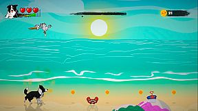 SHADE A Dog's Expedition