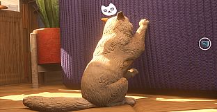 The Cat: Tales of Istanbul