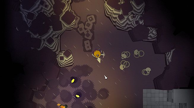 Unexplored Ripley Run