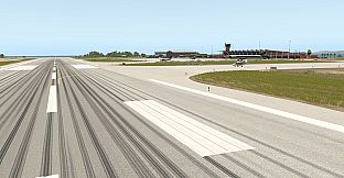 X-Plane 11 - Add-on: Aerosoft Airport Bonaire Flamingo