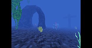 Life Warp