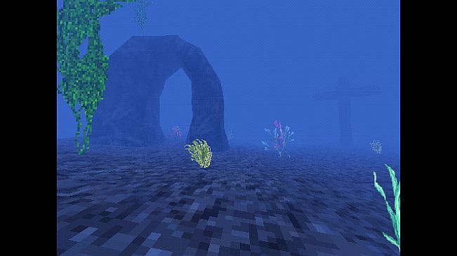Life Warp