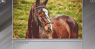 Super Jigsaw Puzzle: Generations - Horses Puzzles