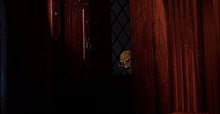 Shadow's Light - Tale of the Champions