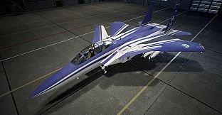 ACE COMBAT7: SKIES UNKNOWN - F-15 S/MTD Set
