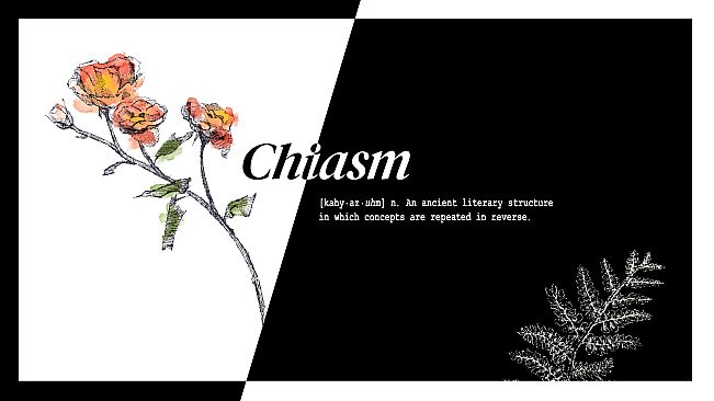 Chiasm