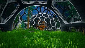 My Money Grows On Trees