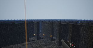 The Procedural Maze