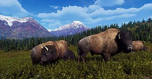 Way of the Hunter - Aurora Shores