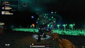 Wardens of the Amber Cage