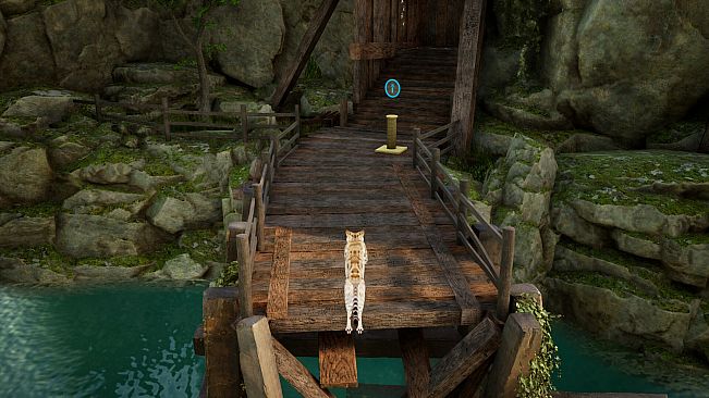 Curiosity: A Cat Climbing Game