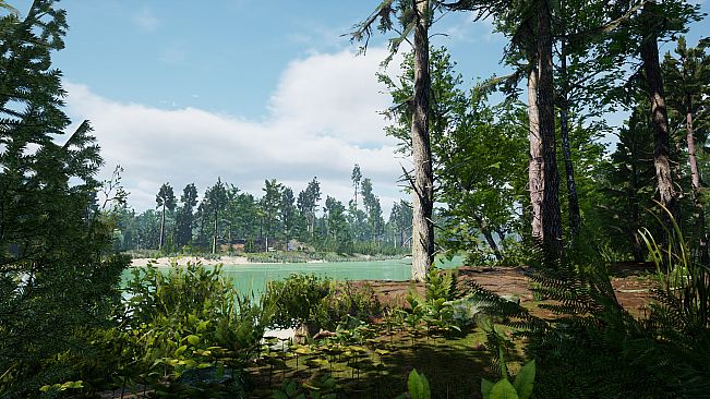 Tales From The Cache