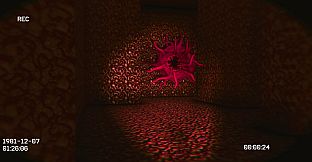 VOID81: The Backrooms