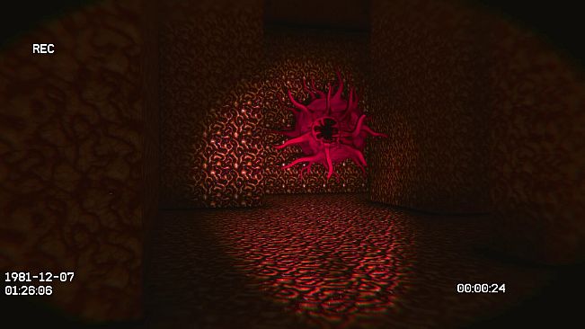 VOID81: The Backrooms