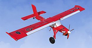 RealFlight Evolution - 2024 Year Content Pass