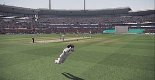 Don Bradman Cricket