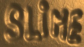 Slime Simulator Games