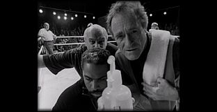 PrizeFighter - Heavyweight Edition