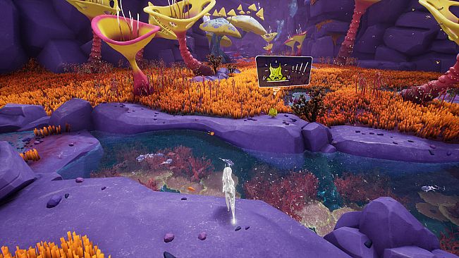 Sayri: The Beginning