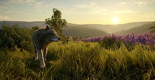 theHunter: Call of the Wild - Cuatro Colinas Game Reserve