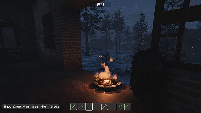 The Silent Wild