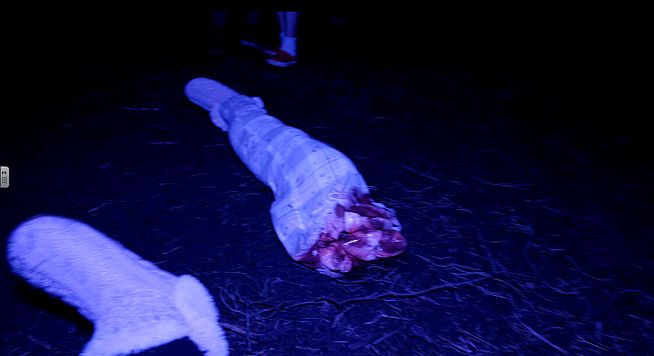 Single Player: Horror