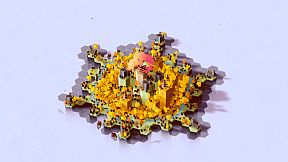 Land Above Sea Below