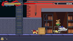 Nyanroo The Supercat