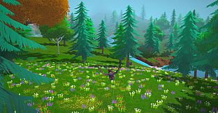 Wizards Owl: Magic Delivery