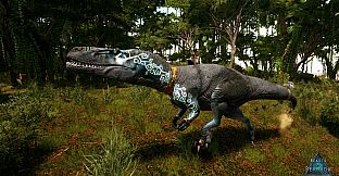 Beasts of Bermuda - Wiehenvenator Supporter Warpaint