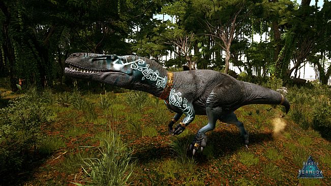 Beasts of Bermuda - Wiehenvenator Supporter Warpaint