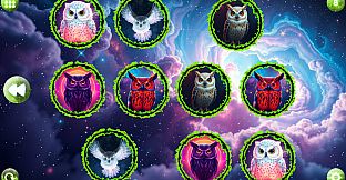 Space Memory: Owls
