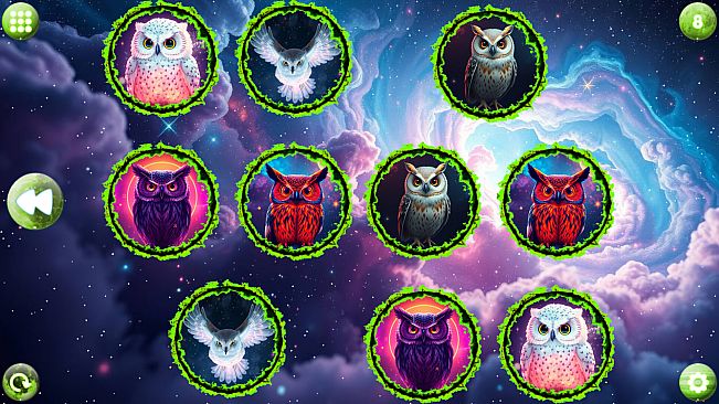 Space Memory: Owls