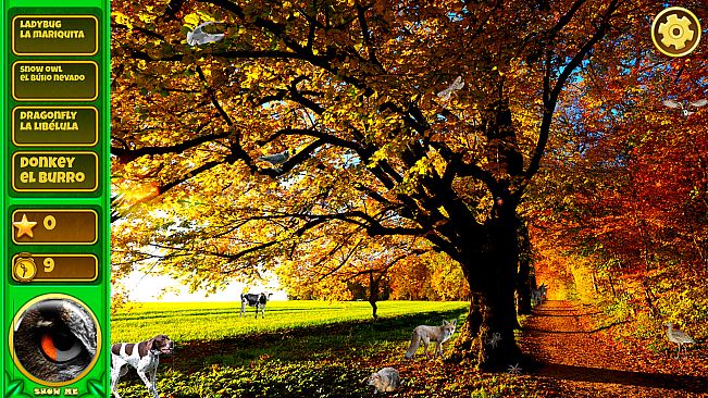 Hidden Animals: English - Spanish SOUNDTRACK