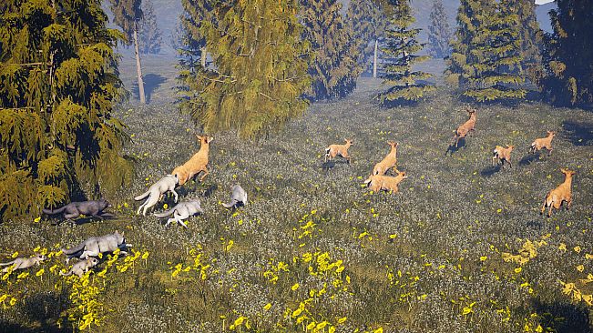Susia - Wolf Life Simulator