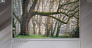 Super Jigsaw Puzzle: Generations - Forests