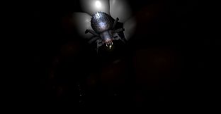 Midnight Haunting