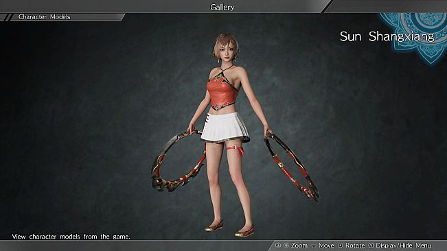 Special Costume Set/特製コスチュームセット