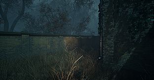 COLONY 2