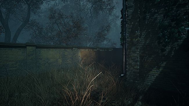 COLONY 2