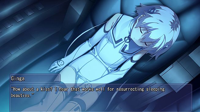 Himawari - The Sunflower -