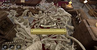 DinoBones: Tidy Up the Museum