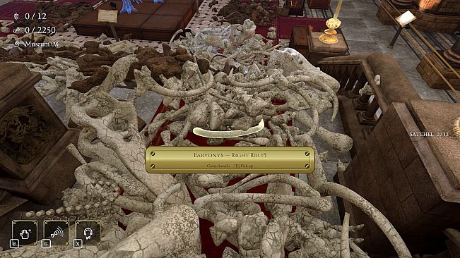 DinoBones: Tidy Up the Museum