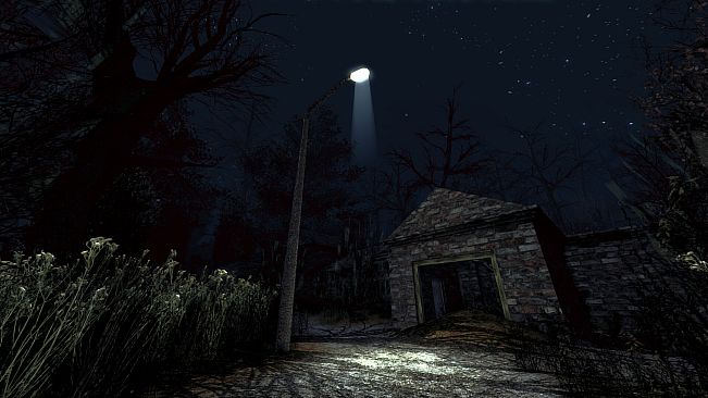 Dark Skies: The Nemansk Incident