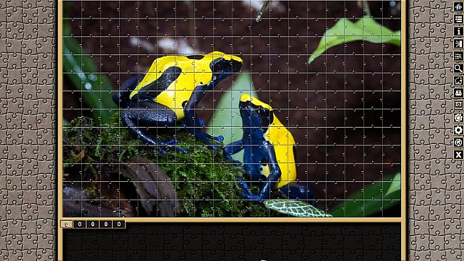 Pixel Puzzles Traditional Jigsaws Pack: Frogs