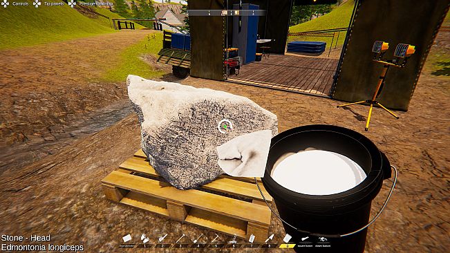 Dinosaur Fossil Hunter