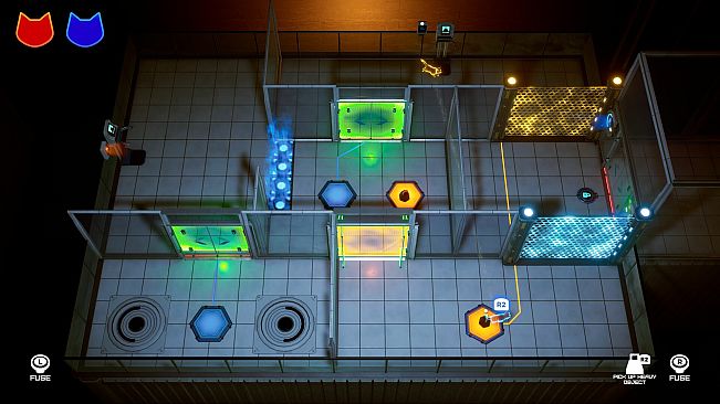 Schrodinger's Cat Burglar