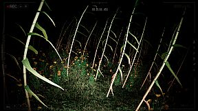 POMBERO: The Lord of the Night